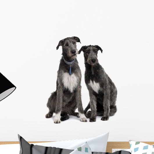 Two Irish Wolfhounds Wall Decal