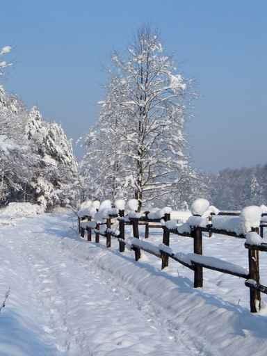 Winter Mountains-beskid-Poland Wall Decal
