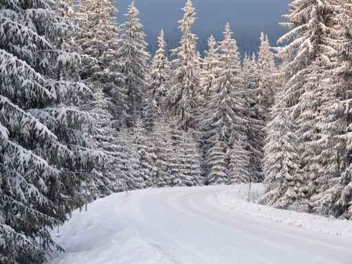 Winter Mountains Beskid Poland Wall Decal
