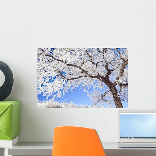 Artist's Choice Wall Mural