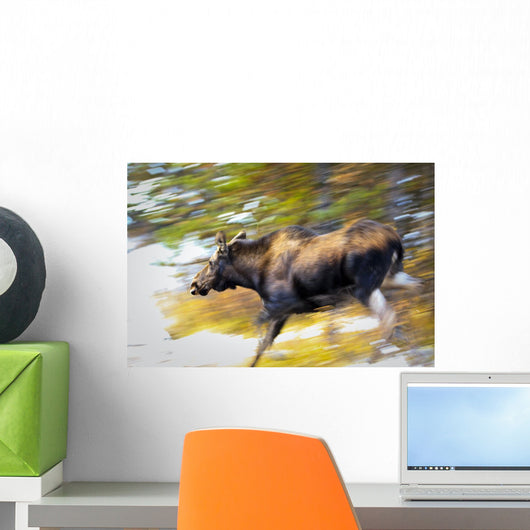 Female Moose Running Through Woods Wall Mural