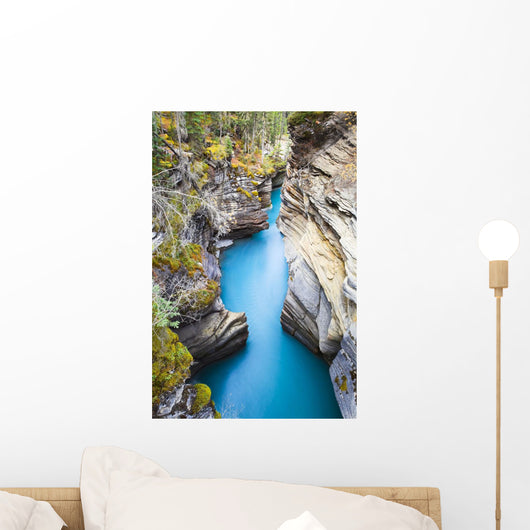 Athabasca Falls/River, Jasper National Park, Alberta Wall Mural