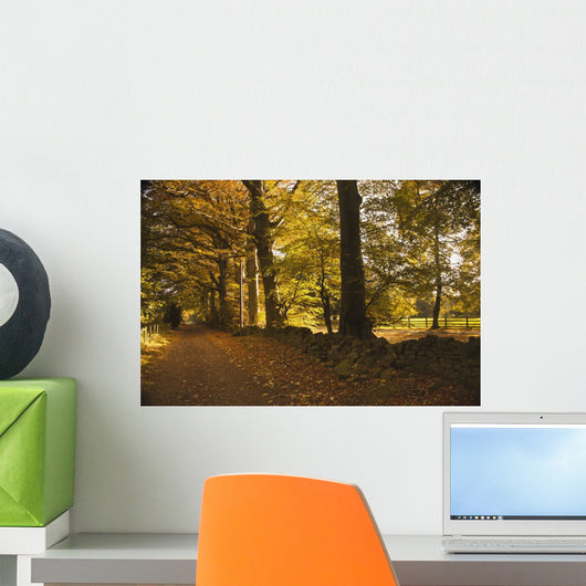 Tree Lined Road Covered With Fallen Leaves In Autumn Wall Mural