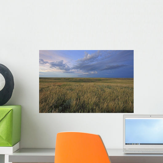 Dusk At Grasslands National Park, Saskatchewan Wall Mural