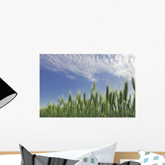 Green Crops Northwest Of Edmonton, Alberta Wall Mural