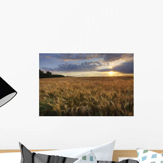 Sunset Over Field Of Ripe Barley, Alberta Wall Mural