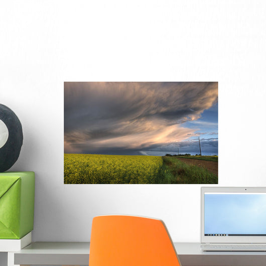 Summer Evening Storm Blowing Over Ripe Canola Fields, Central Alberta Wall Mural