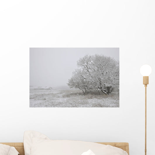 Foggy Winter Morning On Farm, Central Alberta Wall Mural