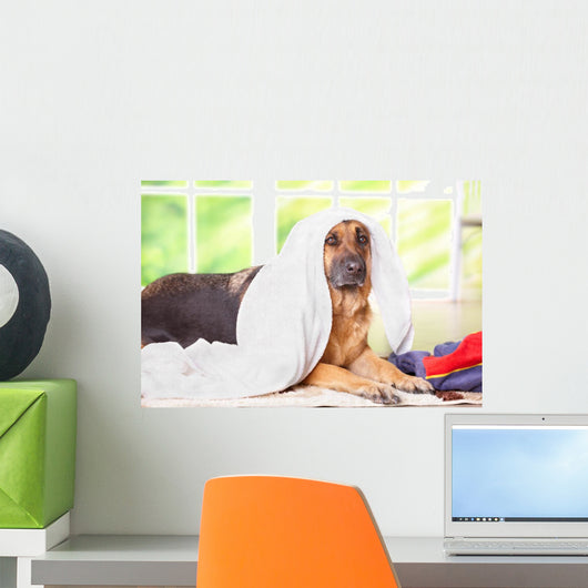 Dog Towel