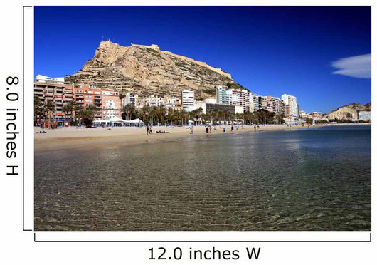 Postiguet Beach and Santa Barbara Castle Alicante Wall Mural
