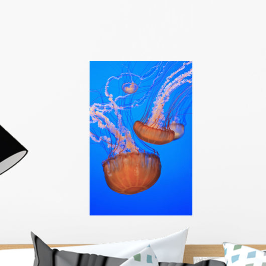 Sea Nettles In Monterey Bay Aquarium Display Wall Mural