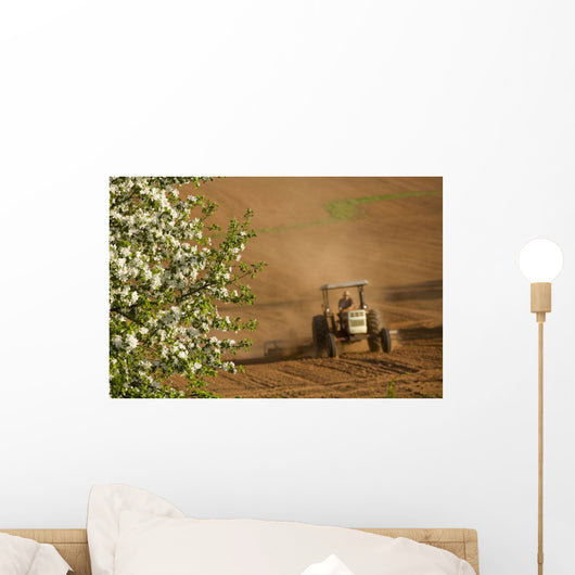Apple Blossoms And Farmer Wall Mural