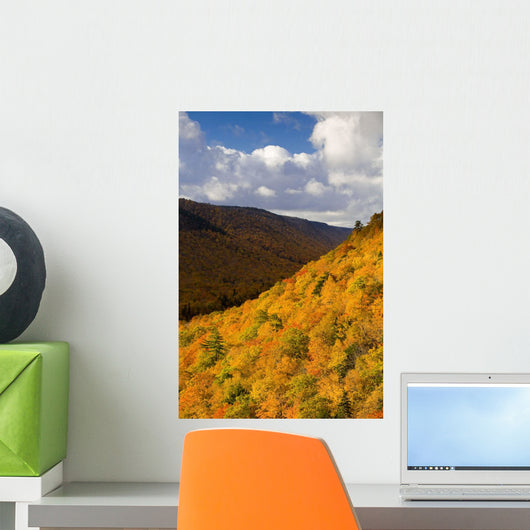 Autumn Colours, Cape Breton Highlands National Park, Nova Scotia Wall Mural