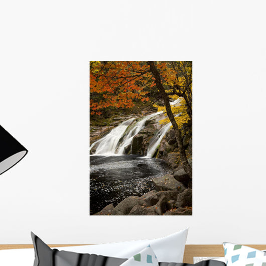 Mary Ann Falls In Autumn Wall Mural