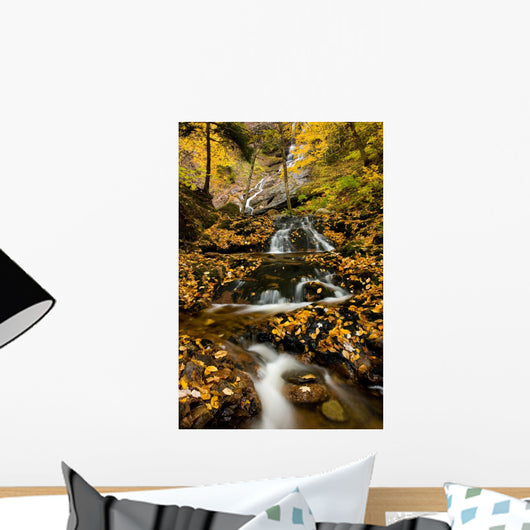 Beulach Ban Falls, Cape Breton Highlands National Park, Nova Scotia Wall Mural