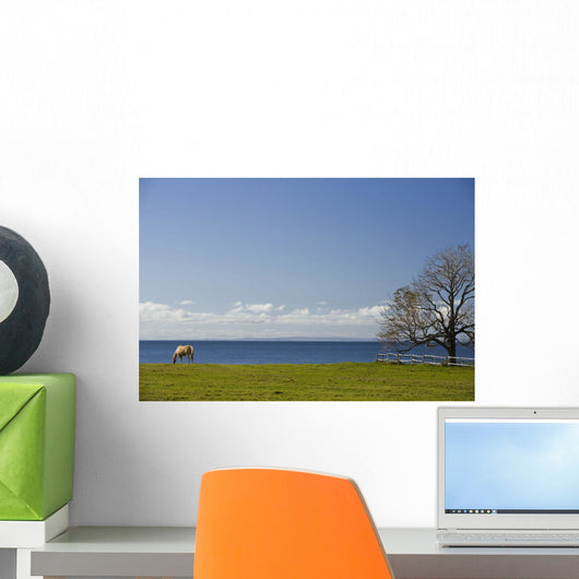 Horse In Field, Guernsey Cove, Prince Edward Island Wall Mural