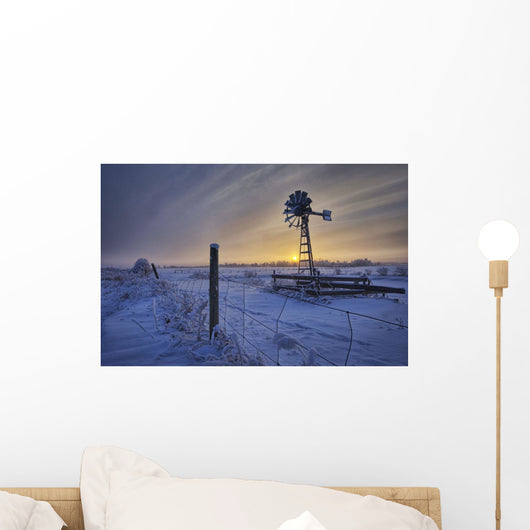 Hoar Frost On A Foggy Winter Sunset, Alberta Wall Mural