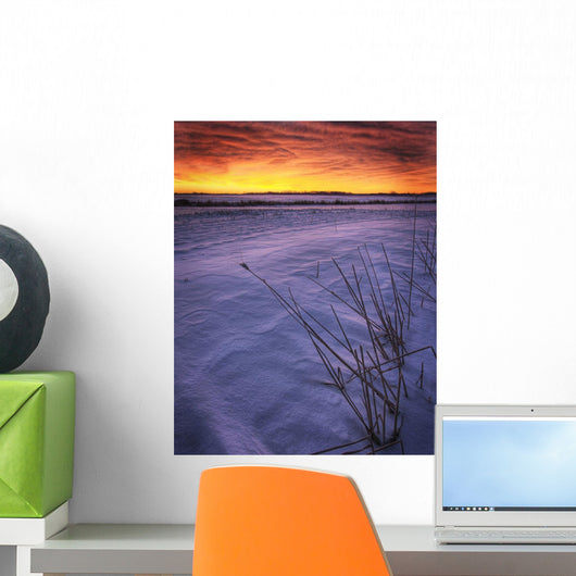 A Golden Winter Sunrise Over Drifted Snow, Alberta Wall Mural