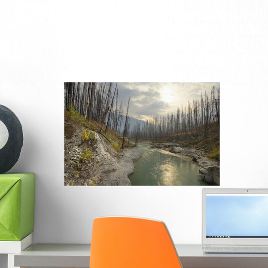 Vermilion River, Kootenay National Park, British Columbia Wall Mural