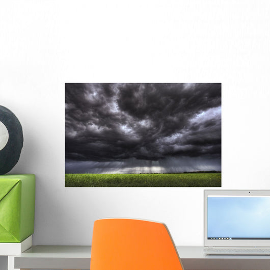 Summer Storm Clouds Over An Unripened Canola Field North Of Edmonton Wall Mural