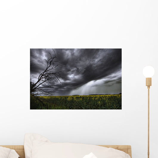 Rain And Thunderstorm Over A Canola Field South Of Bon Accord, Alberta Wall Mural
