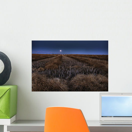 Autumn Moonrise On Canola Swaths In A Farm Field South Of Bon Accord Wall Mural