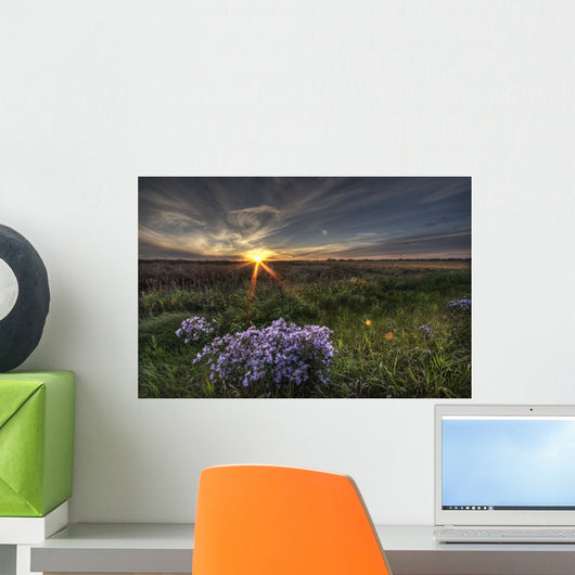 Summer Sunset Over Prairie Wildflowers North Of Bon Accord, Alberta Wall Mural