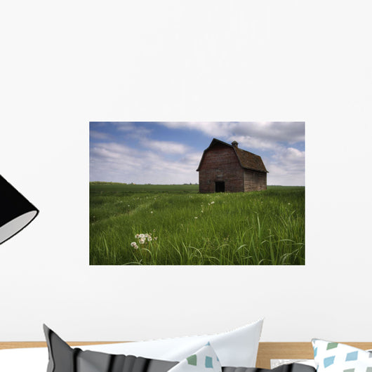 Old Red Barn And A Field Of Dandelions In Summer Wall Mural
