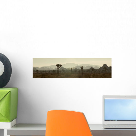 Dawn In Joshua Tree National Monument, California Wall Mural