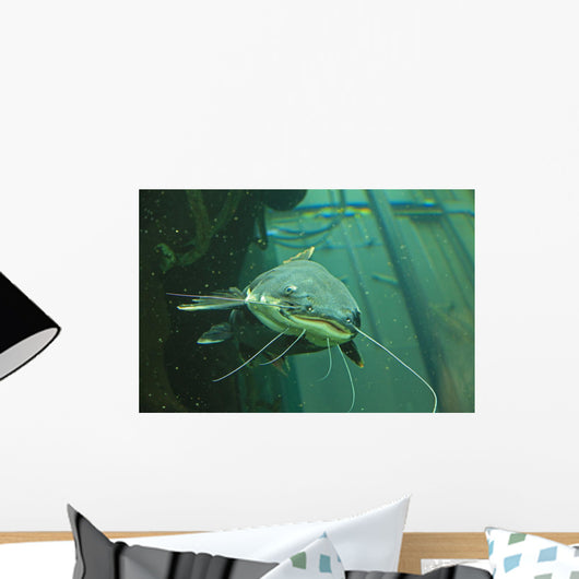 Catfish Wall Mural