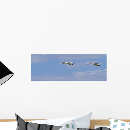 Swans In Flight, Yukon Wall Mural