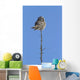 Northern Boreal Owl Wall Mural
