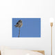 Northern Boreal Owl Wall Mural
