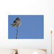 Northern Boreal Owl Wall Mural