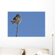 Northern Boreal Owl Wall Mural