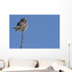 Northern Boreal Owl Wall Mural