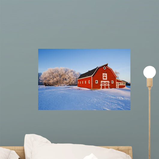 Red Barn, Winter, Near Oakbank, Manitoba, Canada Wall Mural