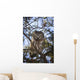 Saw Whet Owl Wall Mural