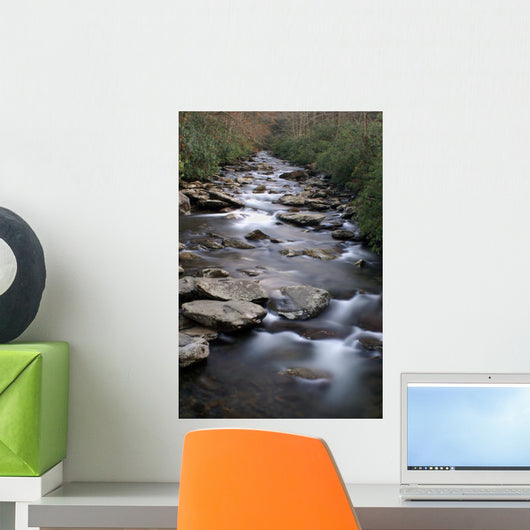 Great Smoky Mountains National Wall Mural