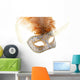 gold feathered carnival mask isolated on a white background Wall Decal