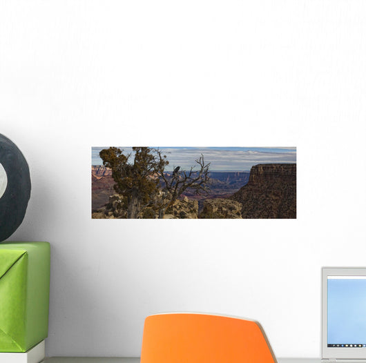 Raven Sitting On Tree On The South Rim Of The Grand Canyon, Arizona Wall Mural