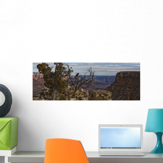 Raven Sitting On Tree On The South Rim Of The Grand Canyon, Arizona Wall Mural