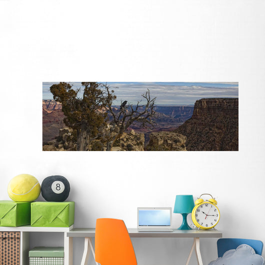 Raven Sitting On Tree On The South Rim Of The Grand Canyon, Arizona Wall Mural