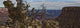 Raven Sitting On Tree On The South Rim Of The Grand Canyon, Arizona Wall Mural