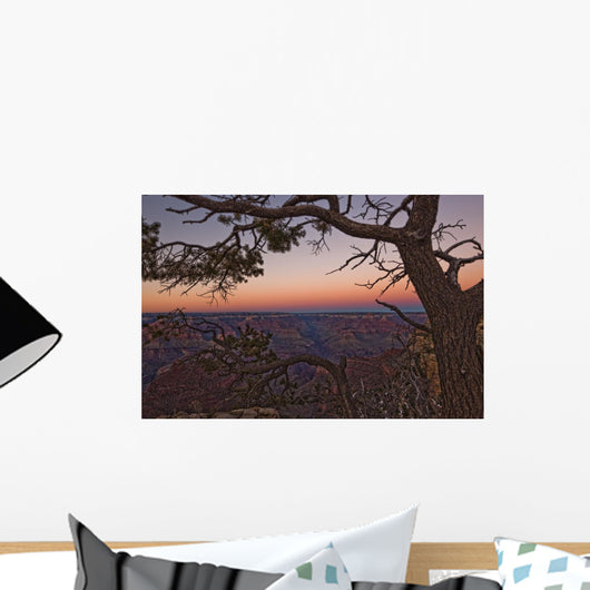 South Rim Of Grand Canyon At Dusk, Arizona Wall Mural