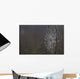 Spider Web Covered In Dew Drops, Florida Wall Mural
