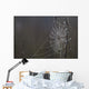 Spider Web Covered In Dew Drops, Florida Wall Mural
