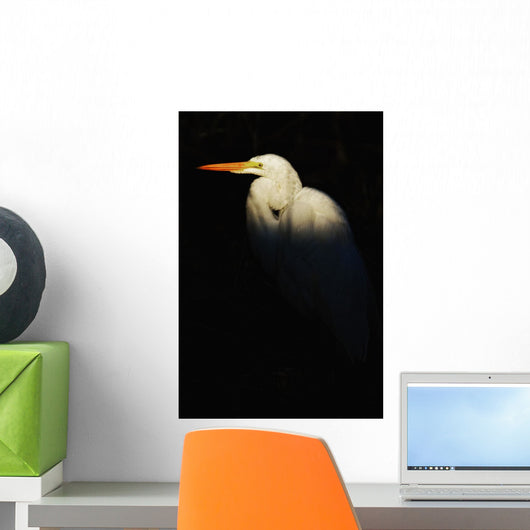 Great Egret, Everglades National Park, Florida Wall Mural
