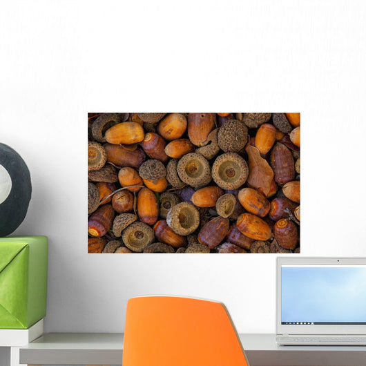 Acorns On Frozen Ground Wall Mural
