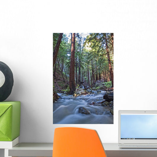 Stream In Limekiln State Park, California Wall Mural
